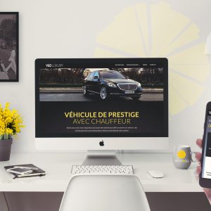 Lire la suite à propos de l’article VD luxury