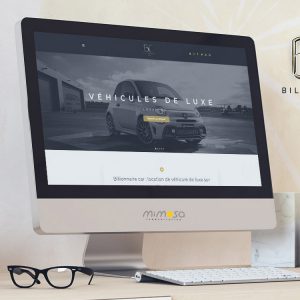 Lire la suite à propos de l’article Billionnaire Car