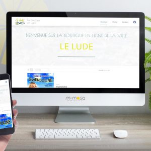 Lire la suite à propos de l’article Ville Le Lude