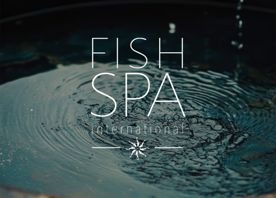 fish spa